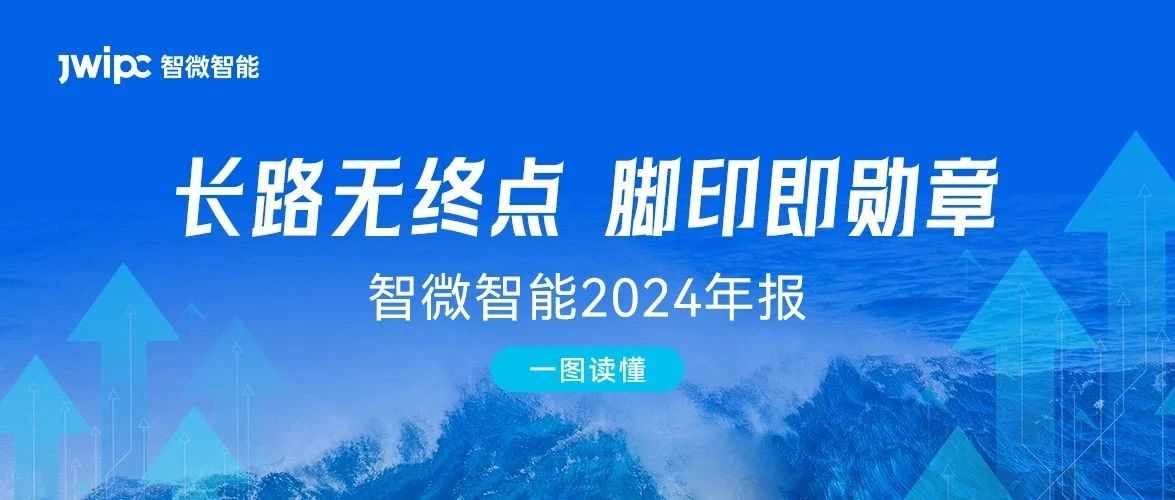 [一图读懂五五世纪智能2024年报] 长路无终点，脚印即勋章. 2024年实现营收与利润双增长